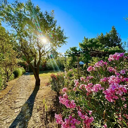Holiday home Maridadi
